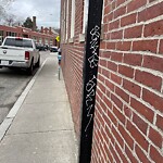 Graffiti at 11 Harvard St