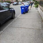 Trash/Recycling at 156 Longwood Ave
