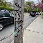 Graffiti at 288 Kent St