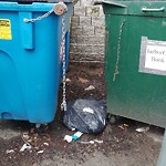 Trash/Recycling at 471 Harvard St