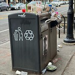 Trash/Recycling at 315 Harvard St