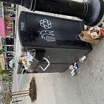 Trash/Recycling at 294 Harvard St