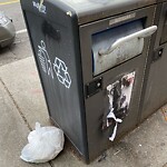 Trash/Recycling at 313 Harvard St