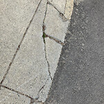 Sidewalk Repair at 4 Park St, Brookline 02446