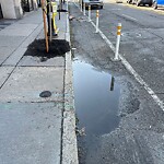Pothole at 279 Harvard St