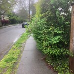 Sidewalk Obstruction at 144 Middlesex Rd, Chestnut Hill