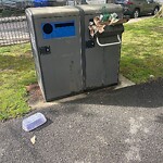 Trash/Recycling at 42.33 N 71.13 W