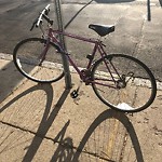 Abandoned Bike at 22 Homer St