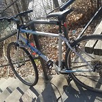 Abandoned Bike at Summit Path & Lancaster Terrace Corey Hill Brookline