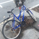 Abandoned Bike at 1067–1099 Beacon St