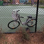 Abandoned Bike at 75 Stedman St