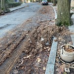 Roadway Plowing/Sanding at 59 Marshal St