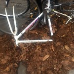 Abandoned Bike at 1067–1099 Beacon St