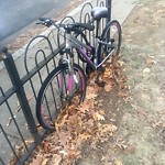 Abandoned Bike at 1–99 Edwin St