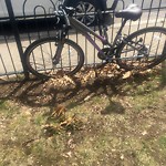 Abandoned Bike at 1–99 Edwin St