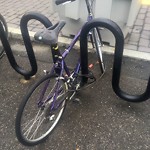 Abandoned Bike at 53–71 Chapel St