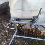 Abandoned Bike at 115 Greenough St