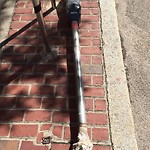 Broken Parking Meter at 7–21 Station St