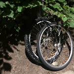 Abandoned Bike at 1–15 Claflin Path