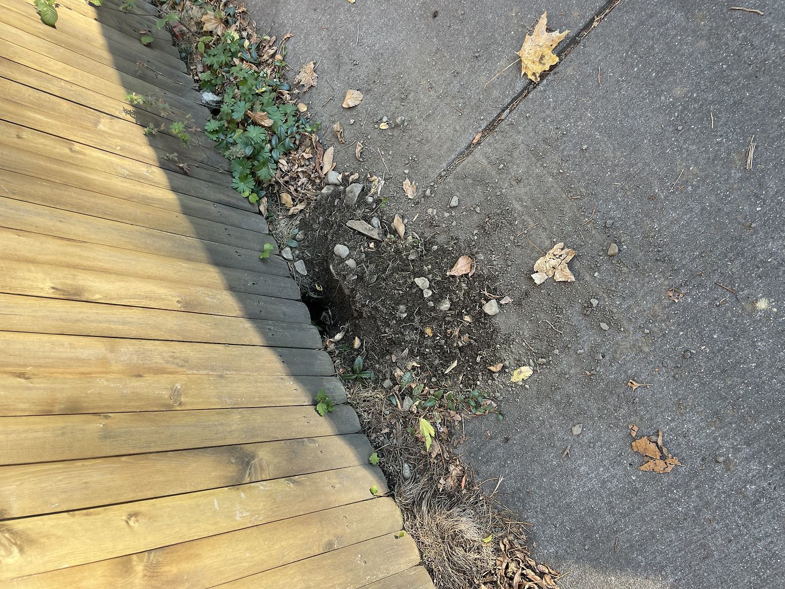 90e735f3-07c6-4f21-80e9-7a2ad0e5e70e