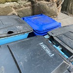 Rodent Issues at Summit Path