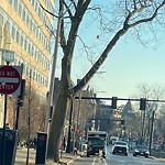 Safe Routes To School at 1450 Beacon St Corey Hill