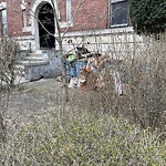 Rodent Issues at Parkway Rd Brookline Norfolk County