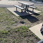 Rodent Issues at 1–99 Jamaica Rd