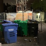 Rodent Issues at 294 Harvard St