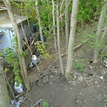 Rodent Issues at 1410 Beacon St Corey Hill