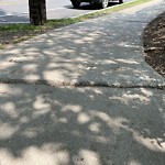 Sidewalk Repair at 78 Dean Rd