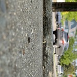 Sidewalk Repair at Dean Rd & Clinton Rd Fisher Hill Brookline