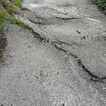 Sidewalk Repair at 62 Circuit Rd