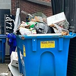 Rodent Issues at 1414 Beacon St