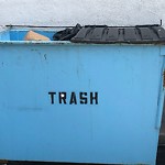 Rodent Issues at 60 Babcock St