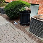 Rodent Issues at 241 Cypress St