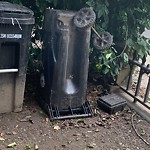 Rodent Issues at 16 Davis Ave