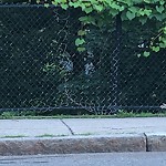 Park Playground at 240 Aspinwall Ave