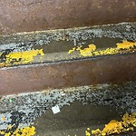 Trash/Recycling at 922 Commonwealth Ave, Boston