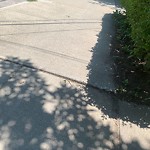 Sidewalk Repair at 193 Aspinwall Ave