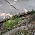 Sidewalk Repair at 175 Clark Rd