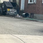 Trash/Recycling at 42.35 N 71.12 W
