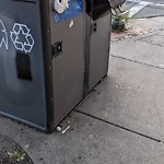 Trash/Recycling at 55 Lawton St