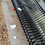 Trash/Recycling at 42.33 N 71.15 W
