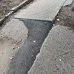 Sidewalk Repair at 15 Marion St