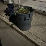 Trash/Recycling at 42.33 N 71.12 W