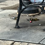 Trash/Recycling at 313 Harvard St