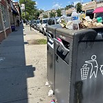 Trash/Recycling at 290 Harvard St