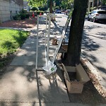 Trash/Recycling at 20 Alton Pl