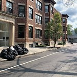 Trash/Recycling at 7 Naples Rd North Brookline